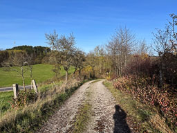 Hünfeld (Rhön)
 Hero