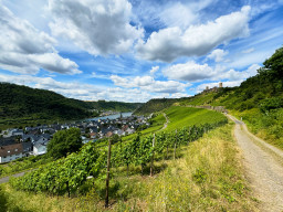 Rheinland Pfalz
 Hero