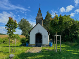 Moselsteig Etappe 22: Löf - Kobern-Gondorf
 Hero