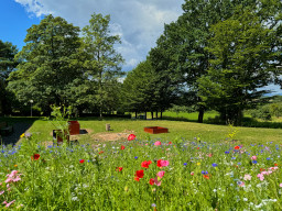 Schoenstatt (Koblenz Vallendar)
 Hero