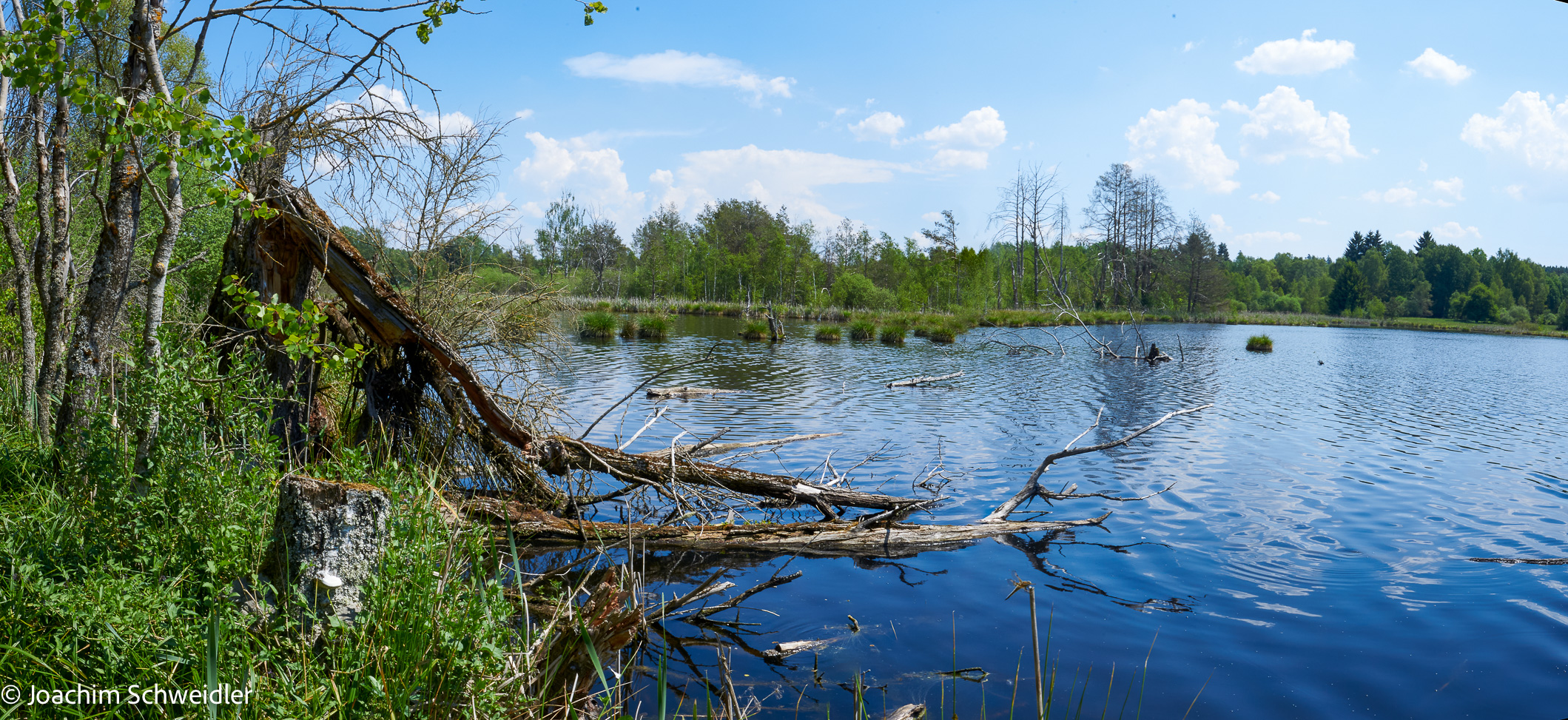 _DSC3598_Panorama.jpg
