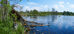 _DSC3598_Panorama.jpg