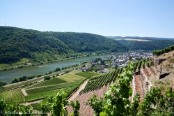 DSC_0778_AugenblickeExport.jpg