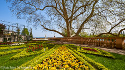 2019-04-29-13.19.16-Schwerin-DSC_5764_AugenblickeExport.jpg