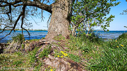 2019-04-29-13.59.13-Schwerin-DSC_5799_AugenblickeExport.jpg