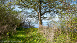 2019-04-30-11.24.41-Schwerin-DSC_5871_AugenblickeExport.jpg