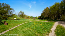 2019-04-30-11.58.42-Schwerin-DSC_5887_AugenblickeExport.jpg
