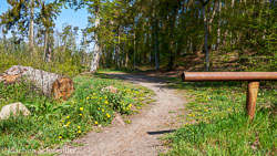 2019-04-30-12.11.29-Schwerin-DSC_5892_AugenblickeExport.jpg