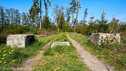 2019-04-30-12.13.35-Schwerin-DSC_5893_AugenblickeExport.jpg
