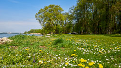 2019-04-30-12.28.32-Schwerin-DSC_5900_AugenblickeExport.jpg