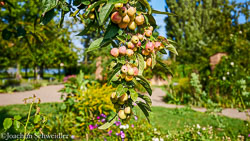 DSC_6537_AugenblickeExport.jpg