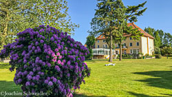 IMG_5772_AugenblickeExport.jpg