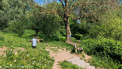 IMG_5783_AugenblickeExport.jpg