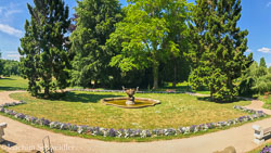 IMG_5802_AugenblickeExport.jpg