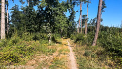 IMG_6367-1_AugenblickeExport.jpg