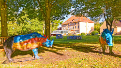 _DSC4161_DxO_AugenblickeExport.jpg