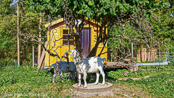 _DSC4764_AugenblickeExport.jpg