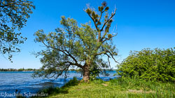 _DSC4930-1_AugenblickeExport.jpg