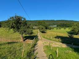 Heidelberg abseits des Massentourismus
 Hero