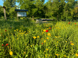 Kurpark Bad Rappenau
 Hero