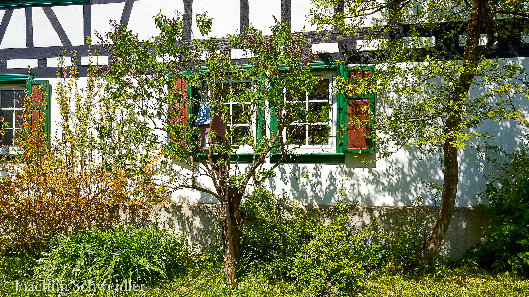 _DSC2398_AugenblickeExport.jpg