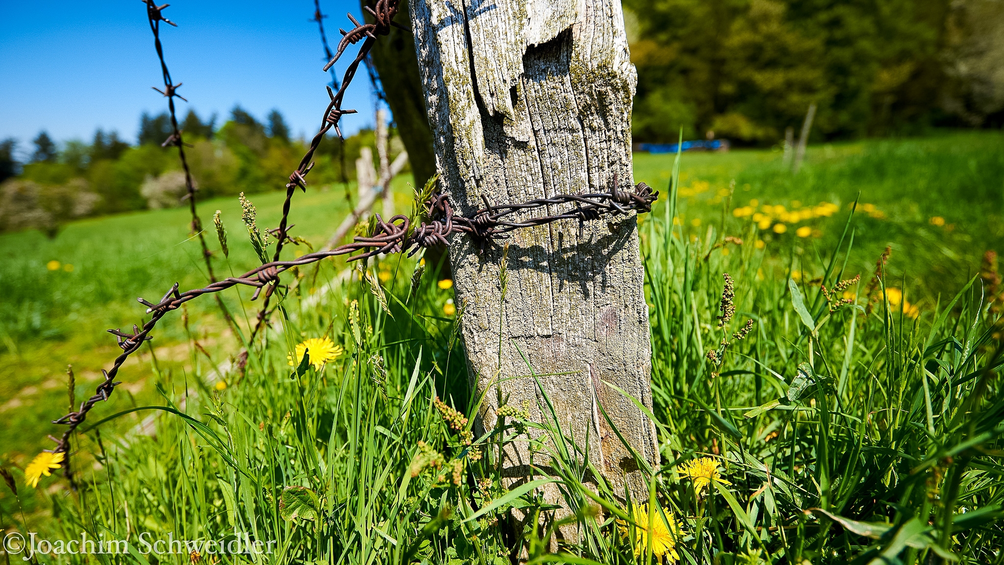 _DSC2415_AugenblickeExport.jpg
