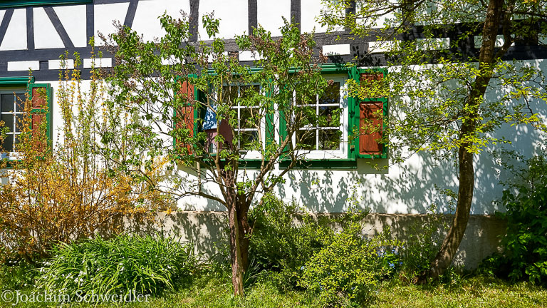 _DSC2398_AugenblickeExport.jpg