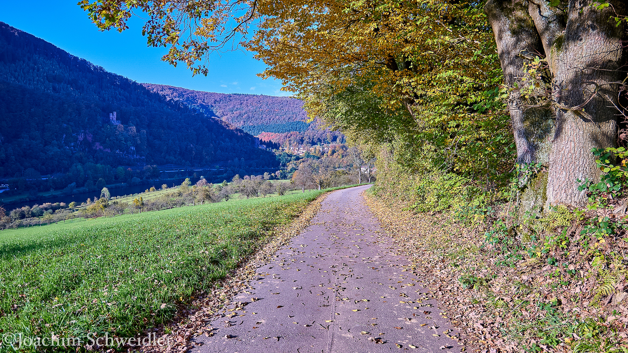 _DSC4232_AugenblickeExport.jpg