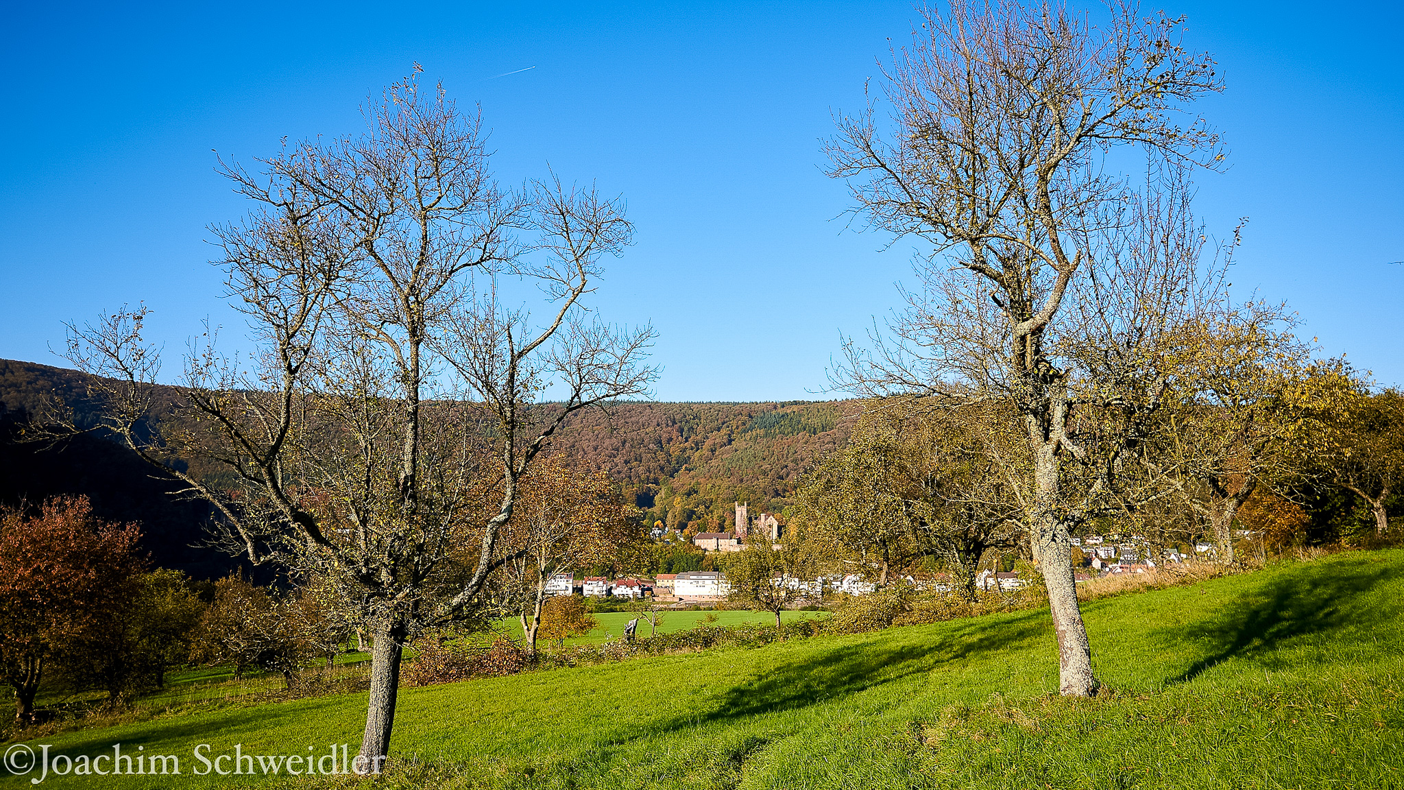 _DSC4237_AugenblickeExport.jpg
