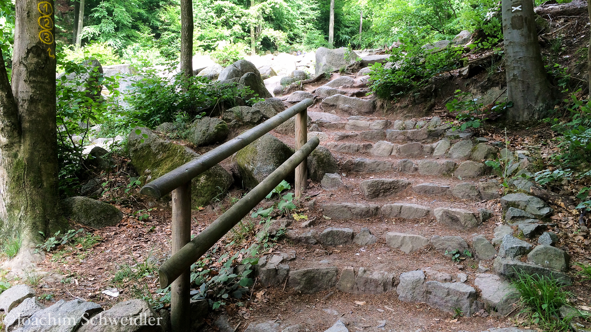 20150517-IMG_2566_AugenblickeExport.jpg