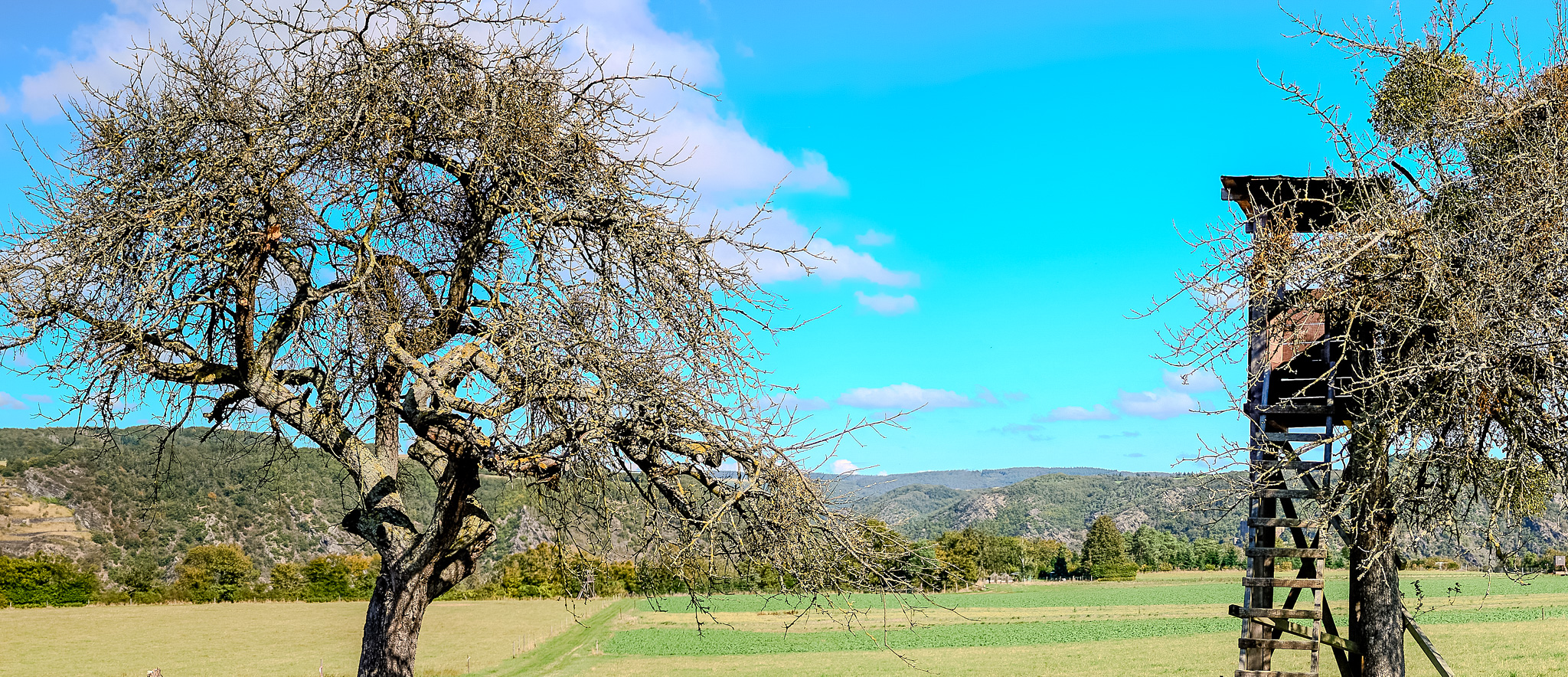DSC_1158_Panorama_iCloudExport.jpg