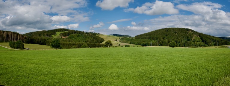 Willingen (Upland) Willingen (Upland)