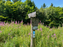Wanderung Wasserkuppe - Milseburg (Rhön)
 Hero