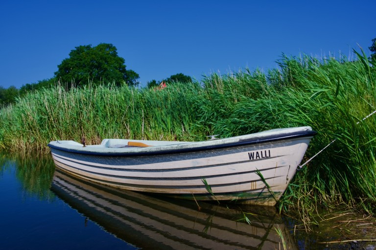 20200626-_DSC0861-CCImport.jpeg